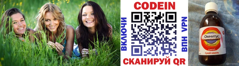 закладки  мега сайт  Codein Purple Drank  Суздаль 