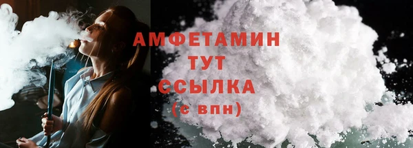 индика Бердск