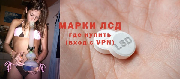 индика Бердск