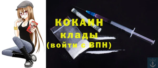 соль ск Артём