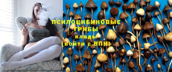 ешки Надым